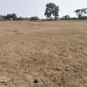 Investment Land for Sale in Joulkheda, M.P.